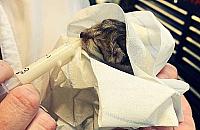 "Miauczący" problem w silniku. Takiej naprawy jeszcze nie mieli