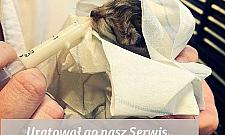 "Miauczący" problem w silniku. Takiej naprawy jeszcze nie mieli