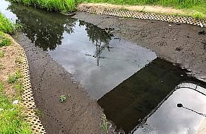 Kanał Bródnowski wysycha. "Prognozy nie są optymistyczne"