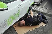 Stra�nicy miejscy uratowali... kota. Maluch skry� si� w samochodzie