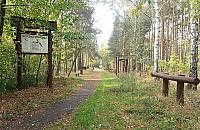 Akcja policji w lesie przy Łysakowskiej. "Miał przy sobie marihuanę"