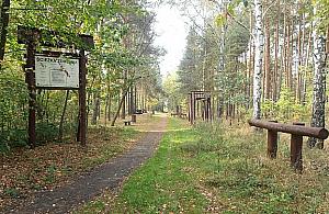 Akcja policji w lesie przy Łysakowskiej. "Miał przy sobie marihuanę"