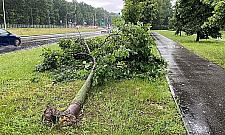 Bielany pod wodą. Najbardziej ucierpiał AWF