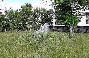 Pomnik utonął w chwastach. Wygląda żałośnie