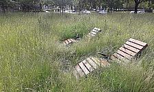 Pomnik utonął w chwastach. Wygląda żałośnie