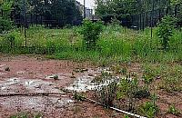 Co z kortami w parku Górczewska? Jest chętny na dzierżawę terenu