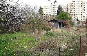 Syn prezesa zarobił na szybkiej transakcji. Działkowcy na Pratulińskiej oburzeni