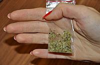 Odpoczywał ze znajomymi nad Wisłą. Strażnicy znaleźli przy nim marihuanę