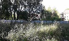 "Oddajcie łąkę - psy". Spór na Wawrzyszewie trwa