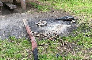 Młociny: "Zakaz palenia ognisk" poszedł z dymem
