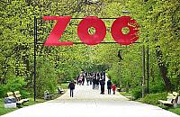 ZOO za drogie? Petycja o tańsze bilety dla rodzin z dziećmi