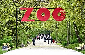 ZOO za drogie? Petycja o tańsze bilety dla rodzin z dziećmi