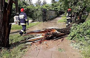 Burza w Warszawie. Powalone drzewa, utrudnienia