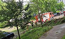 Burza w Warszawie. Powalone drzewa, utrudnienia