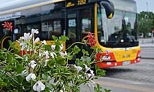 Warszawa cała w kwiatach. Tysiące roślin robią wrażenie