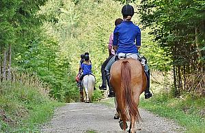 Startują "Wakacje w siodle". Zajęcia dla miłośników jazdy konnej