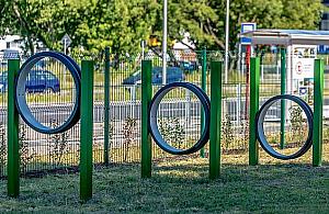 Dzielnice najlepsze dla "psiarzy". Miłośnicy czworonogów wybrali