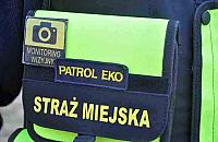 Makabryczne znalezisko straży miejskiej. Skatowany pies leżał w krzakach