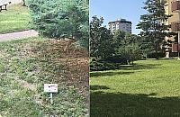 Obrzucił petardami psa i właścicielkę. "Z kundlem nie wolno wchodzić na trawę"