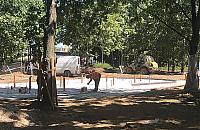 Wodny plac zabaw wreszcie w budowie. Czy Sanepid powie "nie"?