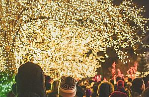 Tysiące lampek w parku Henrykowskim. "Wioska Świętego Mikołaja"