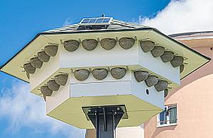 Nowa wieża na Białołęce? "Ptaki będą wabione przez głośnik"