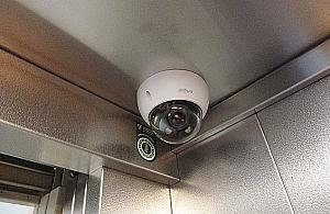 Szczyt bezmyślności na Bielanach. Odcinek drugi