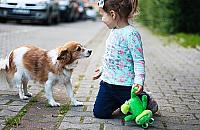 Zielony skwer potrzebny od zaraz. "Dzieci bawią się na jezdni"