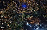 Nawa�nica nad Warszaw�. Ponad p� tysi�ca interwencji