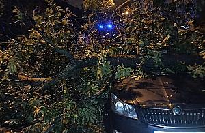 Nawałnica nad Warszawą. Ponad pół tysiąca interwencji