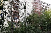 "Sąsiad truje drzewa". Mieszkańcy bezradni wobec wycinki