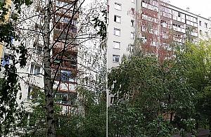 "Sąsiad truje drzewa". Mieszkańcy bezradni wobec wycinki