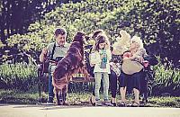 "Osiedlowy las na Wrzecionie". Powrót sąsiedzkich spotkań między blokami?