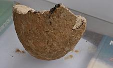 Prehistoryczna osada na Białołęce. Zaskakujące odkrycia