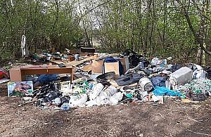 Mandat 5 tys. zł za śmieci. "Za karę posprzątasz las"