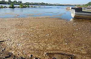 Łowili ryby w ściekach. "Apelujemy o opamiętanie"