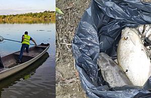 "10 kilogramów śniętych ryb". Koniec teorii spiskowych