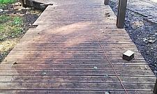 Raj dla spacerowiczów w Lesie Bródnowskim. Czy powinny tędy jeździć rowery?