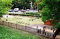 Chcą więcej wybiegów dla psów. "Kolejne płoty na Białołęce?"