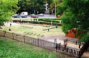 Chcą więcej wybiegów dla psów. "Kolejne płoty na Białołęce?"