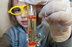 Rusza Białołęcki Uniwersytet Dzieci. Super Buda zaprasza