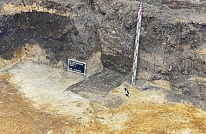 Szczątki 12 osób odkryto na Namysłowskiej. Byli więźniami w Toledo