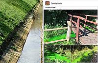 Zielony kolor rzeki na Bielanach. "Nie wiemy, co się tam zdarzyło"