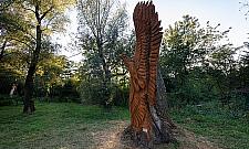 Chore pnie zamieniono w rzeźby. "Cudnie to wygląda"