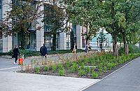 Przebudowa al. Jana Pawła II trwa. "Zazieleniamy centrum"