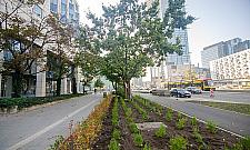 Przebudowa al. Jana Pawła II trwa. "Zazieleniamy centrum"