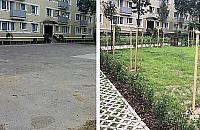 Zieleń zastępuje beton. Bielańskie podwórka znów żywe