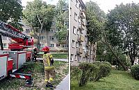 Drzewo prawie wpadło do salonu. Akcja strażaków na Wrzecionie