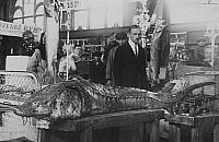 Historyczne bzdury aktywistów. Czym były Hale Mirowskie?