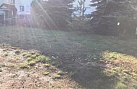 Kto wyrzuca na trawę resztki jedzenia? "To mogą być pułapki na zwierzęta"